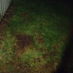 Meet your Posher, Rene